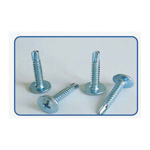 Self Drilling Screw
