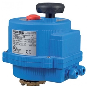 Electric Actuator