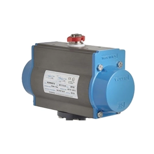 Pneumatic Actuator