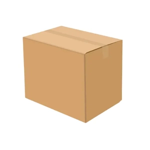 Packaging Carton