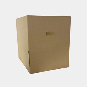 Packaging Carton