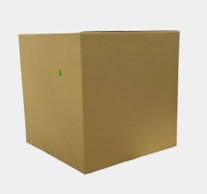 Shipping Carton