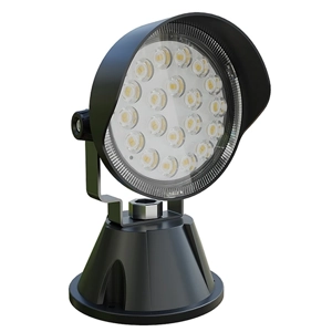 Flood Light
