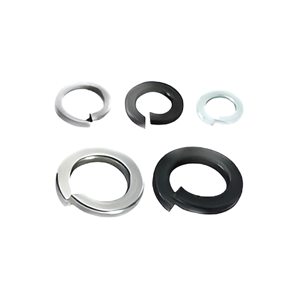 Spring Washer