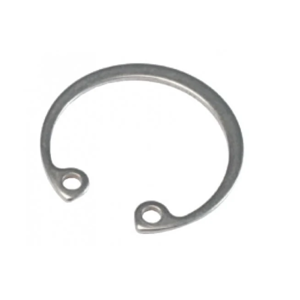 Circlip