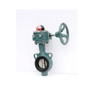 Butterfly Valve