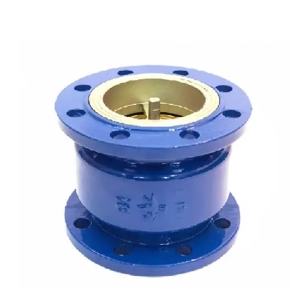 Check Valve