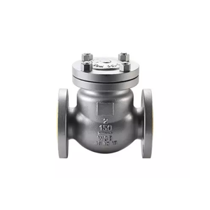 Check Valve