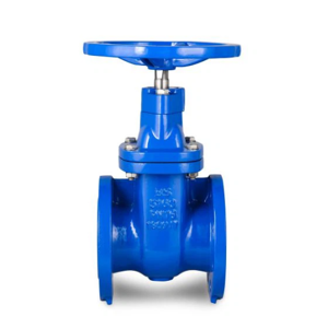 Gate Valve