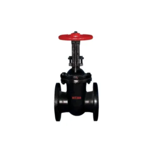 Gate Valve