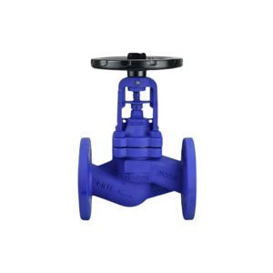 Globe Valve