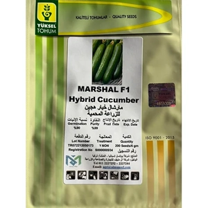 Cucumber Seed