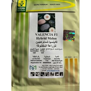 Melon Seed