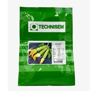 Squash Seed