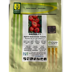 Tomato Seed