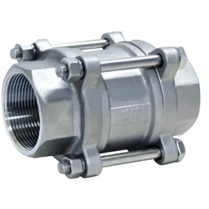 Check Valve