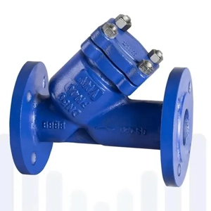 Y Strainer