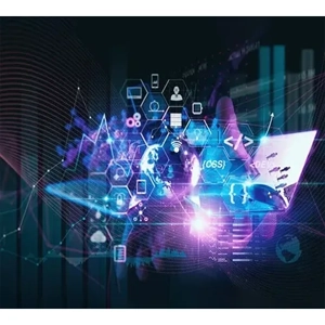Website Development Service