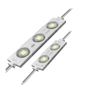 Light Module