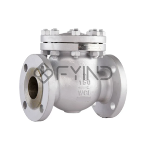 Check Valve