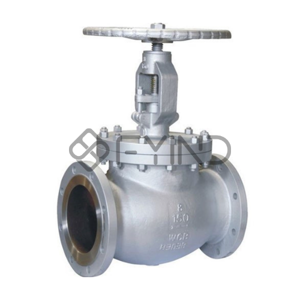 Globe Valve