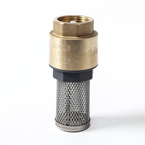 Foot Valve