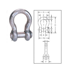 Shackle