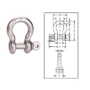 Shackle