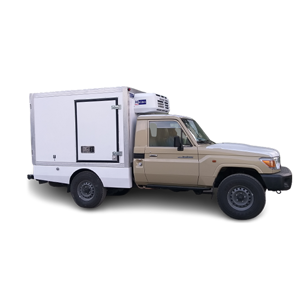 Cargo Truck