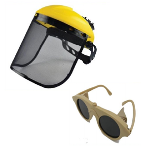 Facial Shield