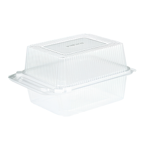 Disposable Food Container