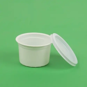 Disposable Food Container