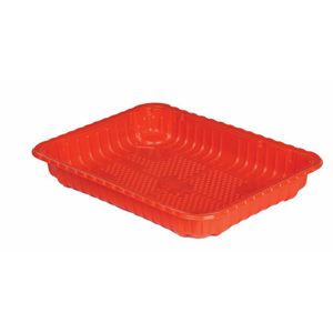 Disposable Food Tray
