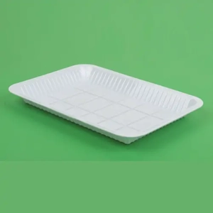 Disposable Food Tray