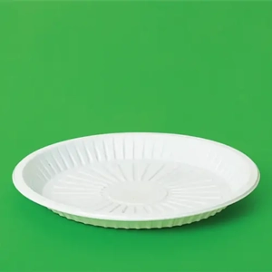 Disposable Food Tray