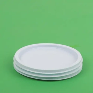 Disposable Lid