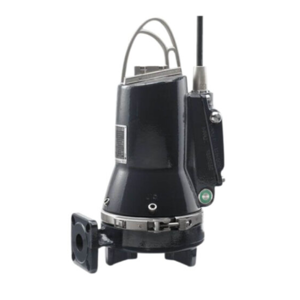 Sewage Pump