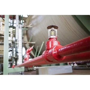 Fire Sprinkler System