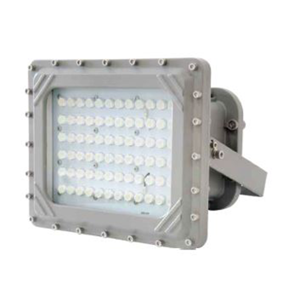 Flood Light