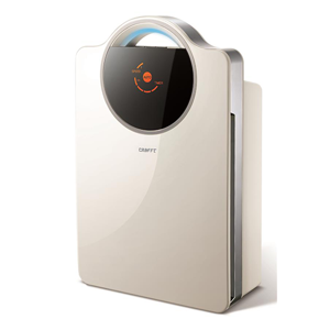 Air Cleaner