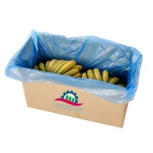 Plastic Bag