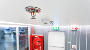 Fire Sprinkler