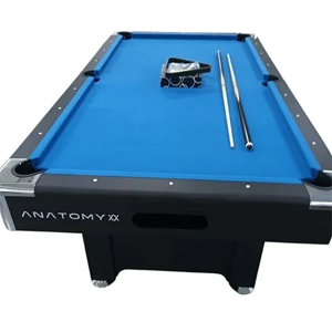 Billiard Table