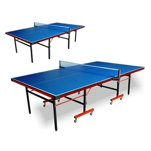 Tennis Table