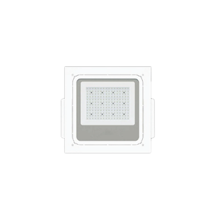 Canopy Lighting Fixture