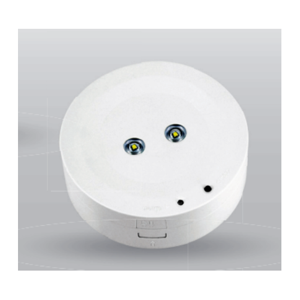 Emergency Light Unit