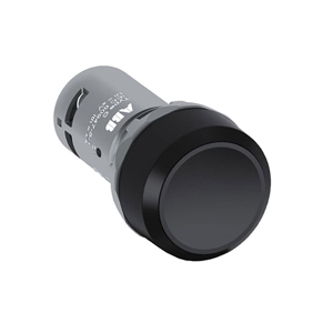 Push Button Switch