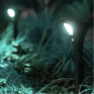 Landscape Lighting