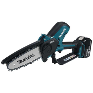 Pruning Saw