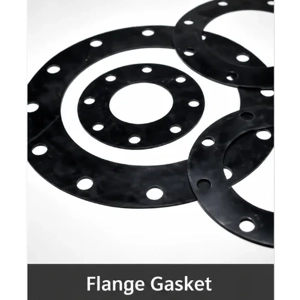 Non Metallic Gasket